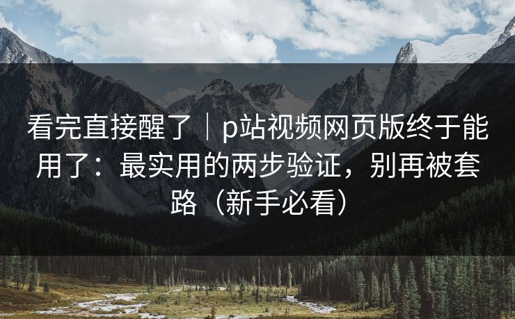 看完直接醒了｜p站视频网页版终于能用了：最实用的两步验证，别再被套路（新手必看）