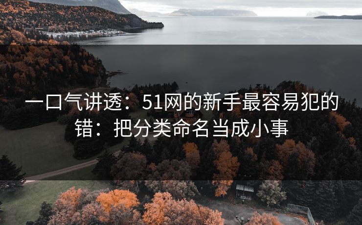 一口气讲透:51网的新手最容易犯的错:把分类命名当成小事 一口气讲透:51网的新手最容易犯的错:把分类命名当成小事