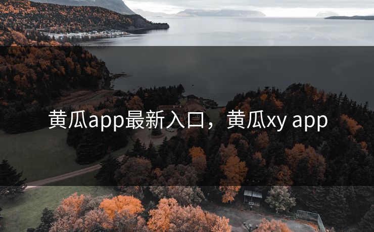 黄瓜app最新入口，黄瓜xy app