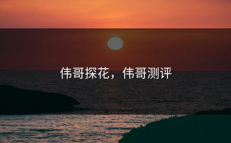 伟哥探花，伟哥测评