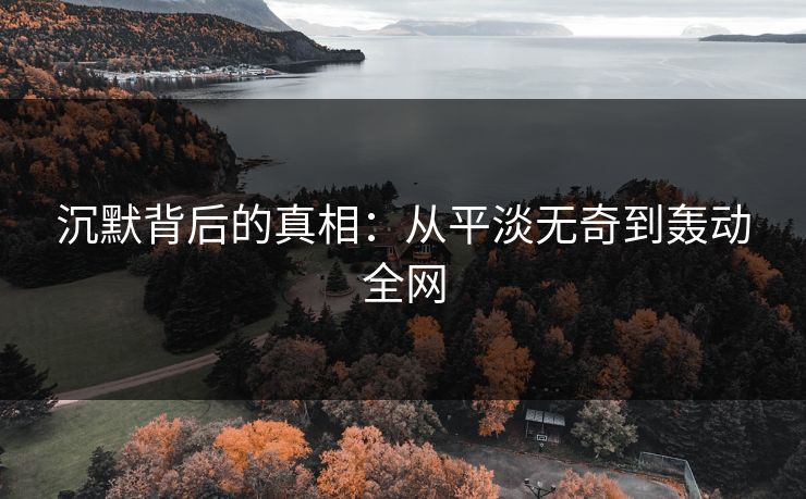 沉默背后的真相：从平淡无奇到轰动全网